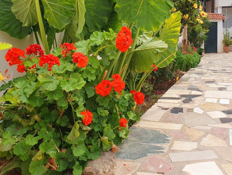 Las Casitas - image 11