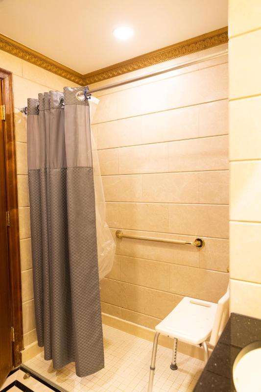 King Room - Disability Access image 4