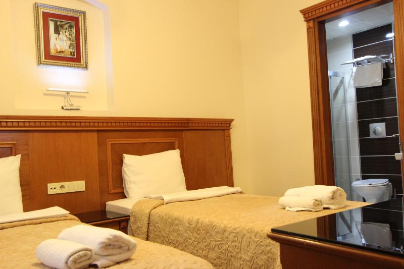 Standard Double or Twin Room image 3