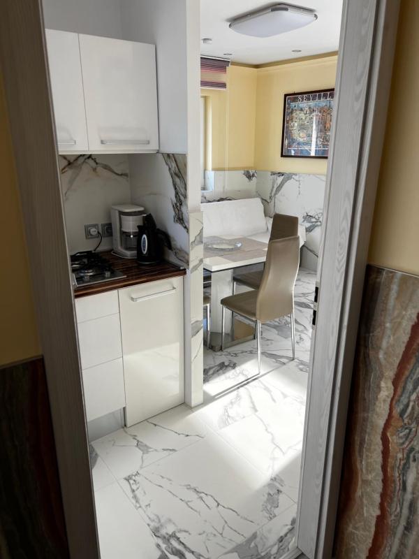 One-Bedroom Apartment image 4