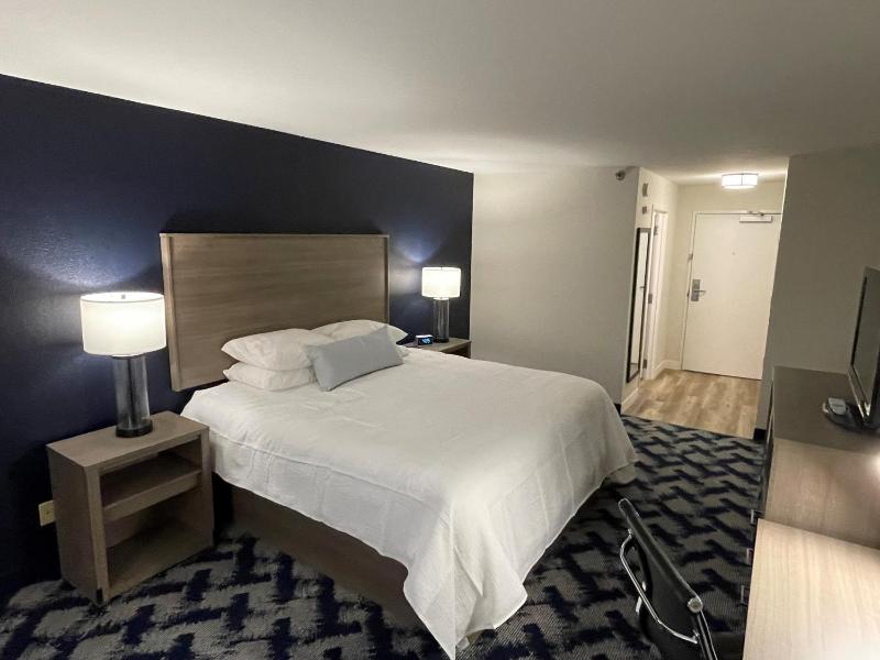 King Room - Non-Smoking image 2