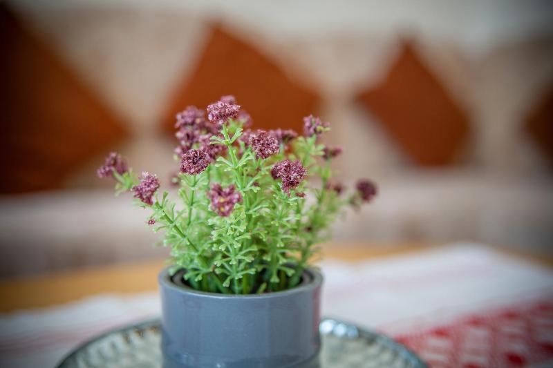 Up de Ring 26-28 Ferienwohnung 50174 - image 3