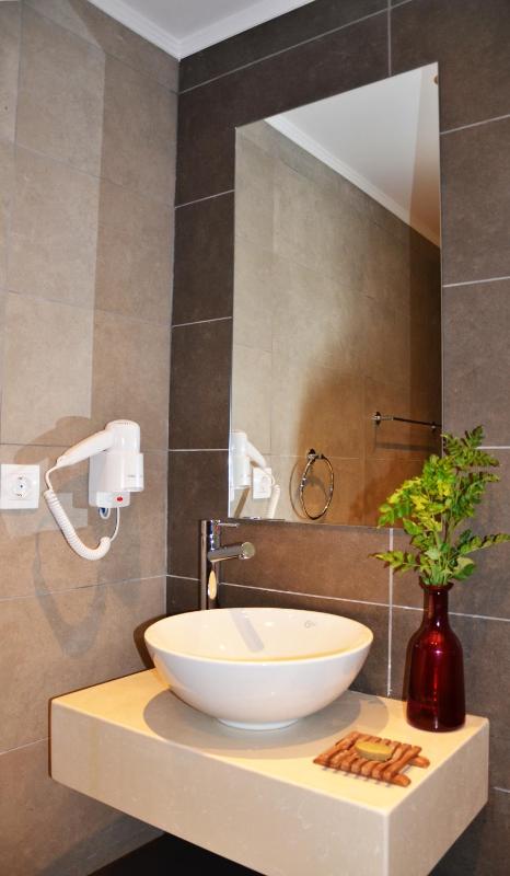 One-Bedroom Apartment image 3