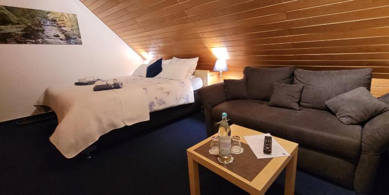 Double Room with Sleeping Sofa image 1