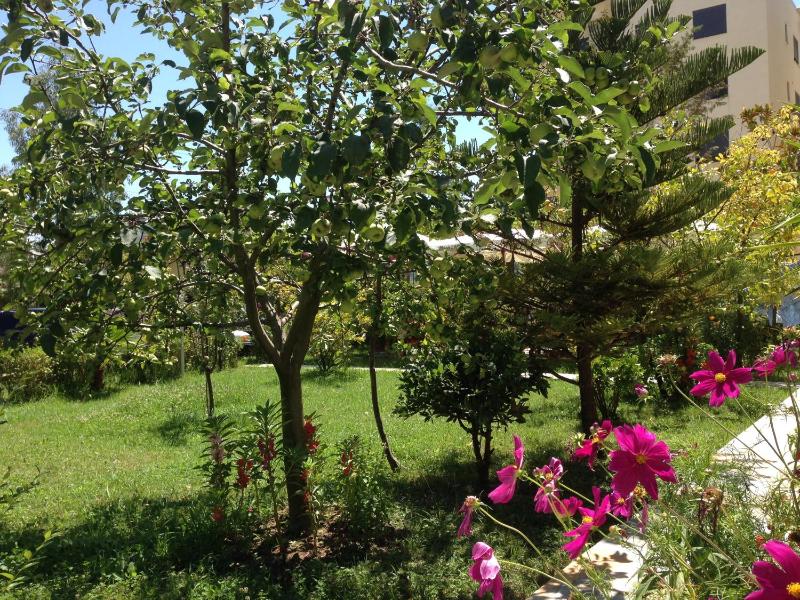 Red Rose Guest House - image 10