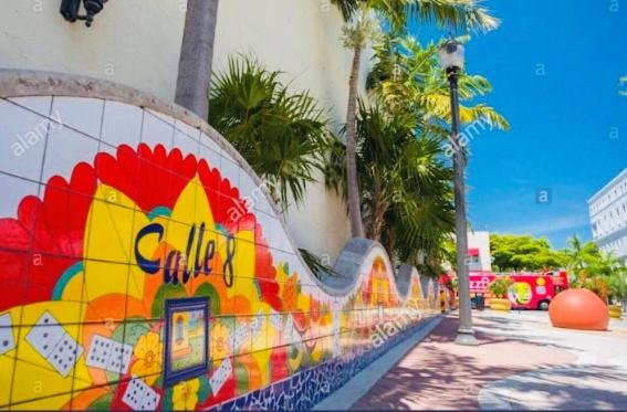 NEW PRIVATE STUDIO MAGIC CITY OF MIAMI GATED PARKING - image 4