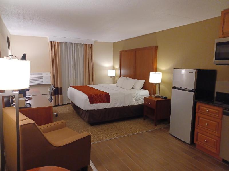 Superior Queen Room with Refrigerator - Non Smoking image 1