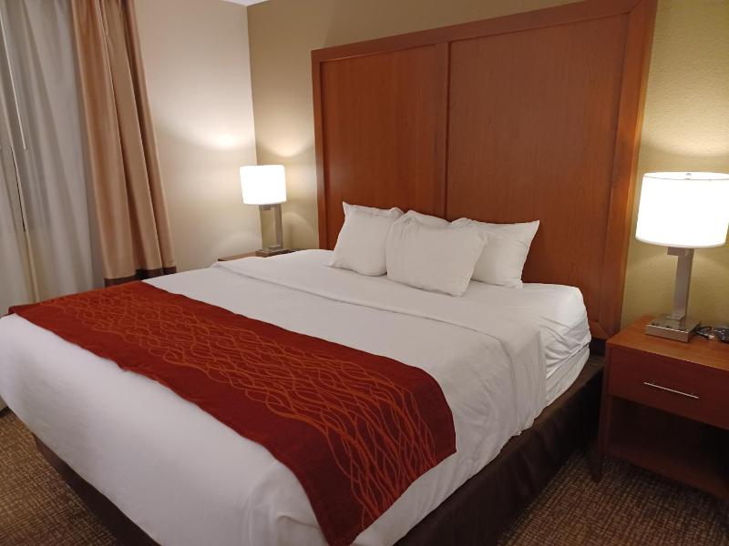 Superior Queen Room with Refrigerator - Non Smoking image 4