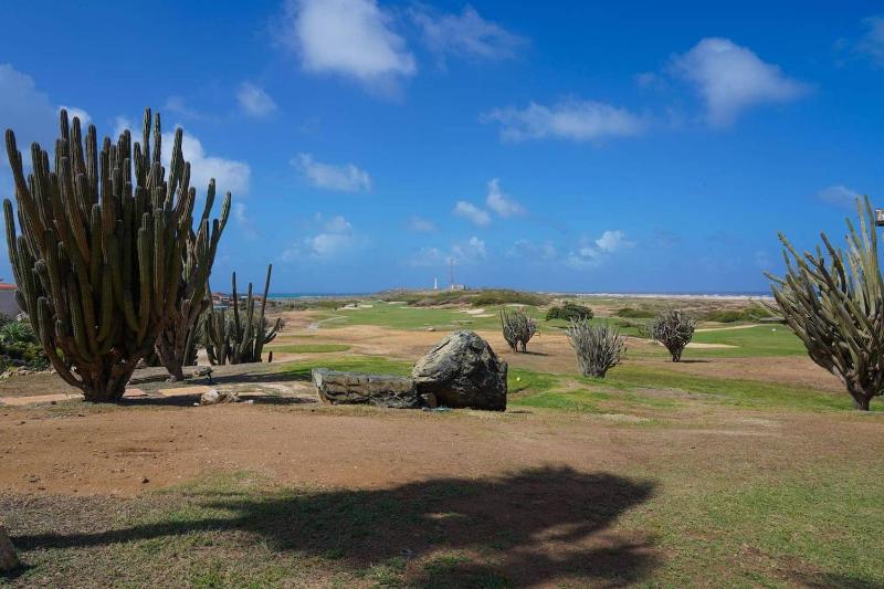 Spectacular apartment in tierra del sol golf course - image 7