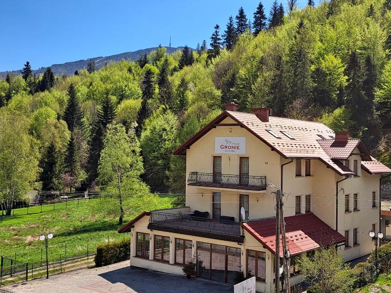 Villa Gronie Ski & Bike - image 1