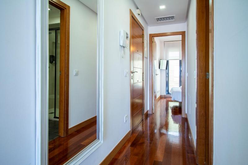Apartamentos Castilla Luz Business - image 15