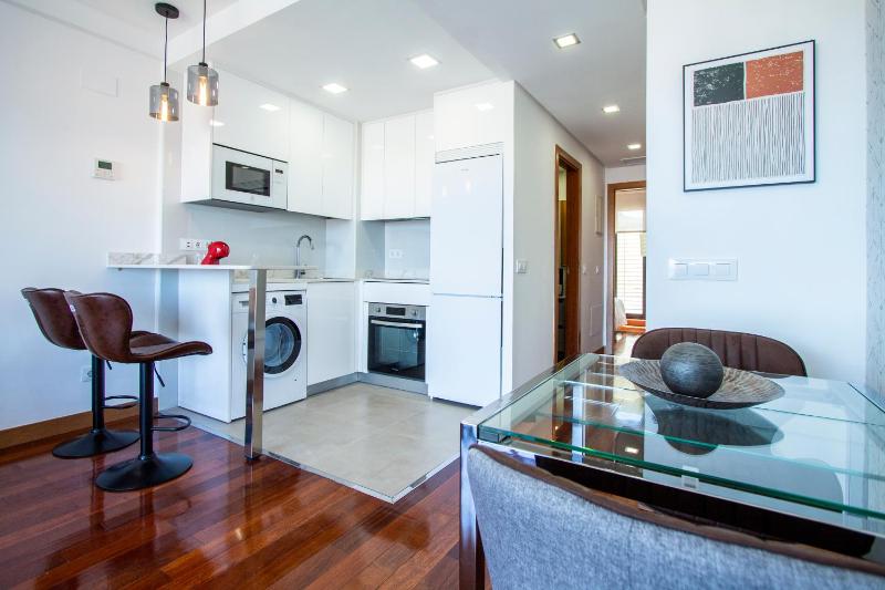 Apartamentos Castilla Luz Business - image 6