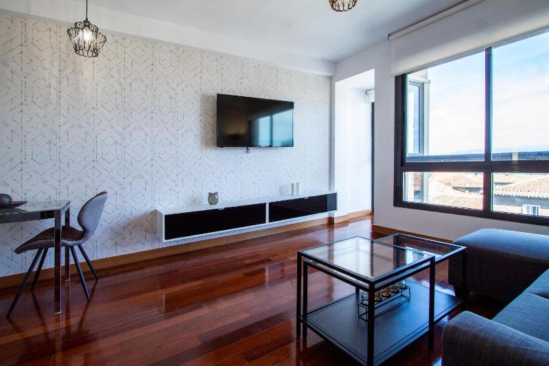 Apartamentos Castilla Luz Business - image 12