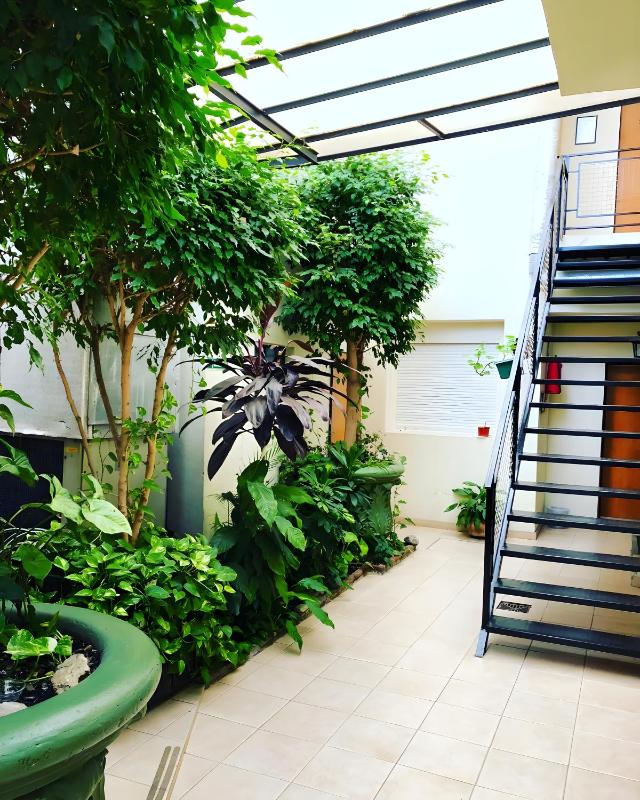 Hotel Americano - image 4