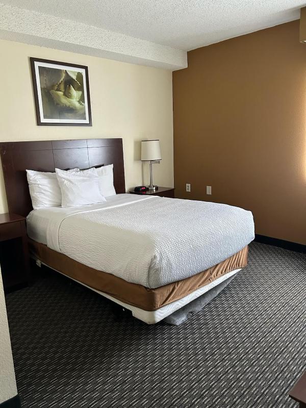 Double Room with Mobility/Hearing Impaired Access - Non-Smoking image 4