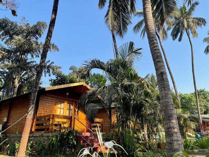 Casa de Kihim - image 7