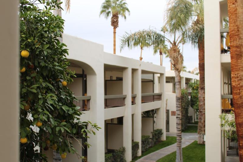 Palm Mountain Resort And Spa - image 5