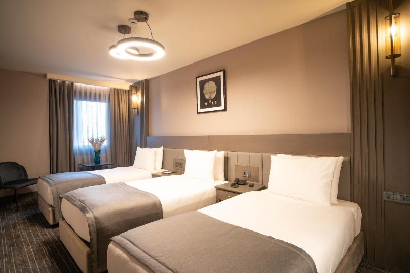 Deluxe Triple Room image 1