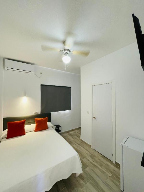 Standard Single Room image 3