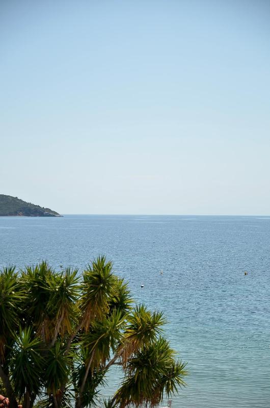 Anemoni Beach Hotel - image 44