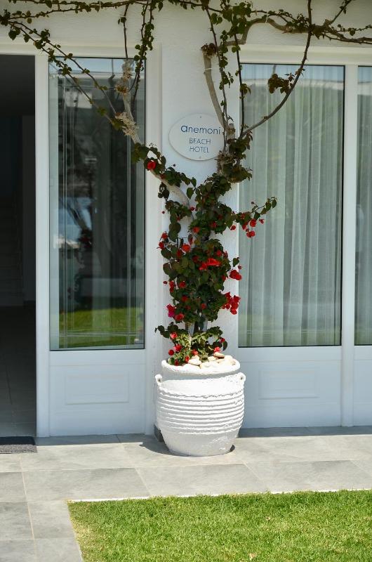 Anemoni Beach Hotel - image 42