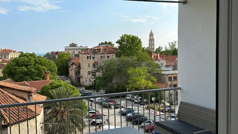 Iris Oasis - image 8