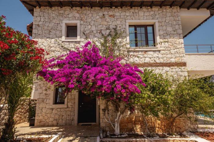 Club Merla Hotel - image 28