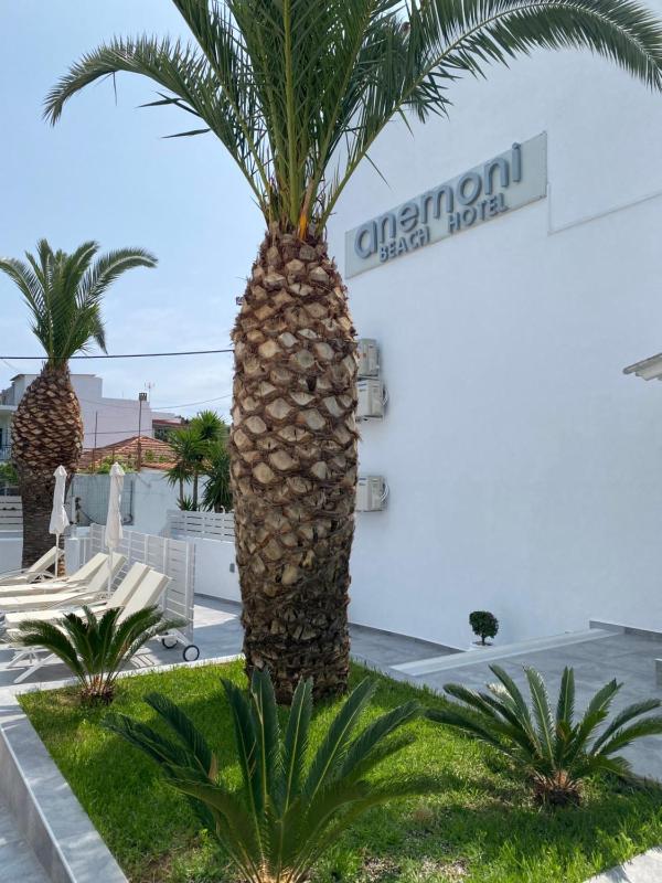Anemoni Beach Hotel - image 29