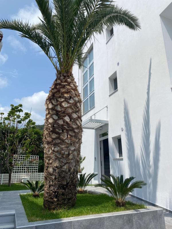 Anemoni Beach Hotel - image 22