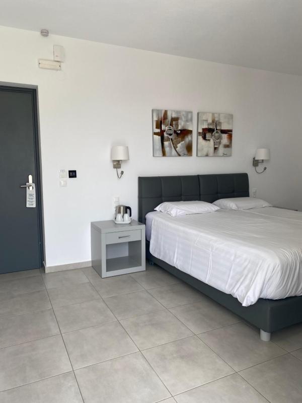 Anemoni Beach Hotel - image 11