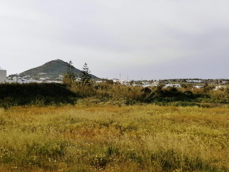 Basic Studio with Land View image 4