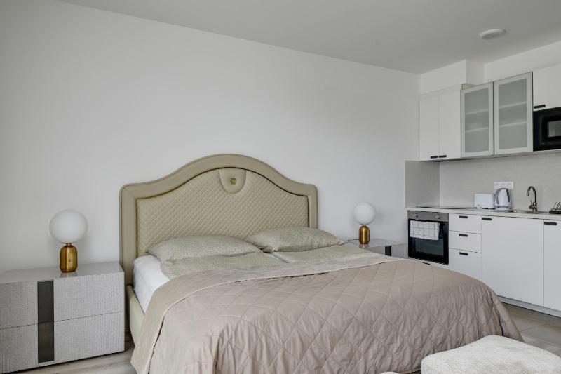 Deluxe King Studio image 3