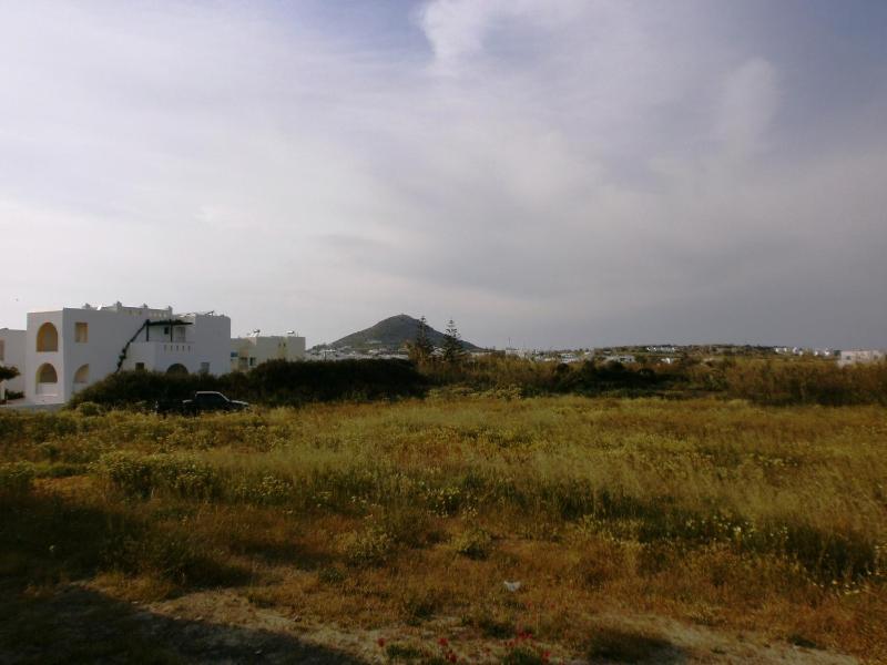Basic Studio with Land View image 3