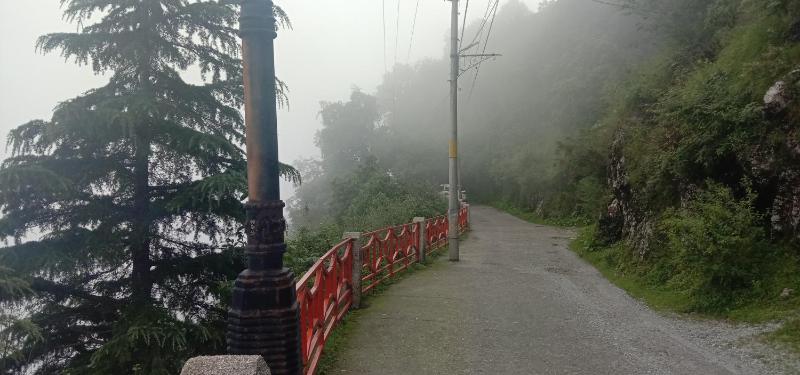 Belleview Homestay - image 6