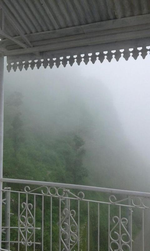 Belleview Homestay - image 12