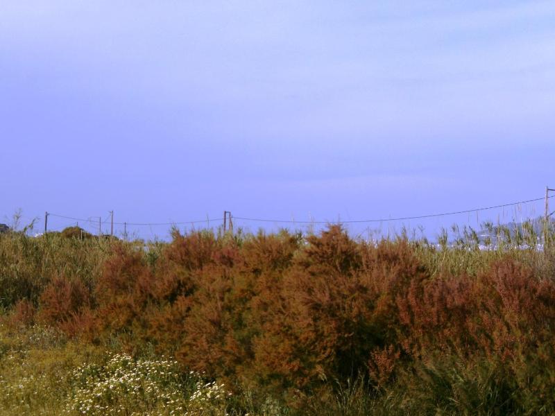 Basic Studio with Land View image 2