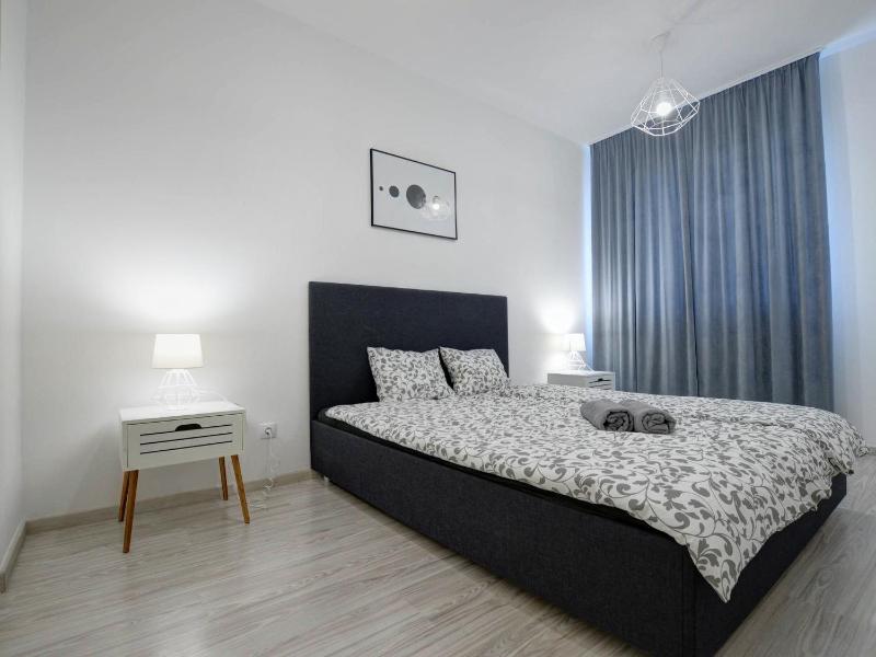 Deluxe One-Bedroom Apartment image 4