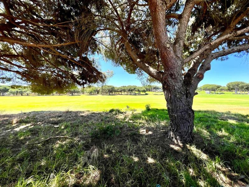 Vilamoura Amazing Golf Villa With Pool by Homing - image 44