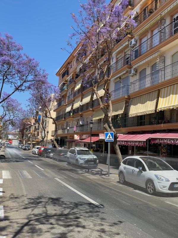 Trimar - Apartamento céntrico con garaje - image 13
