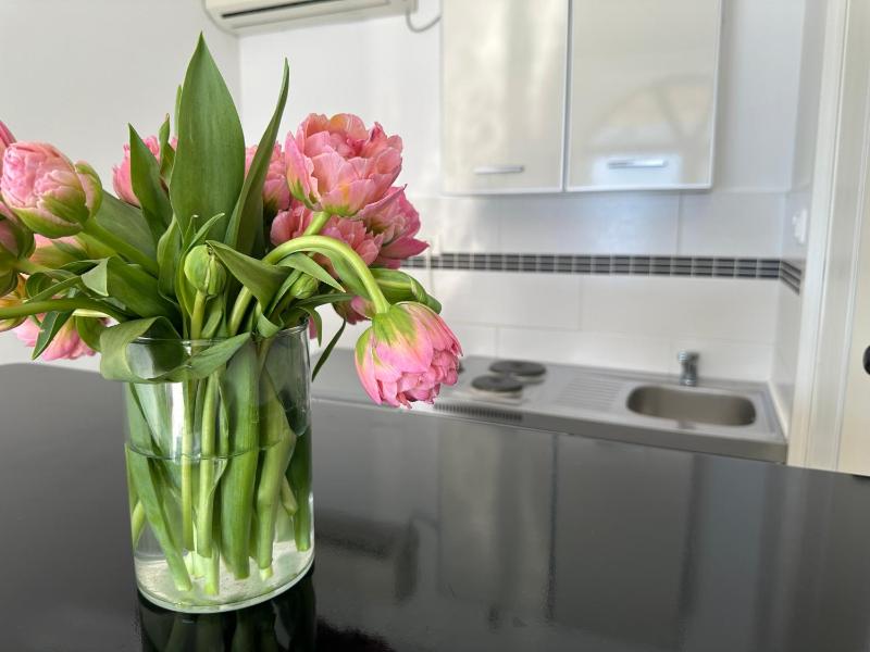 Studio Apartment image 4