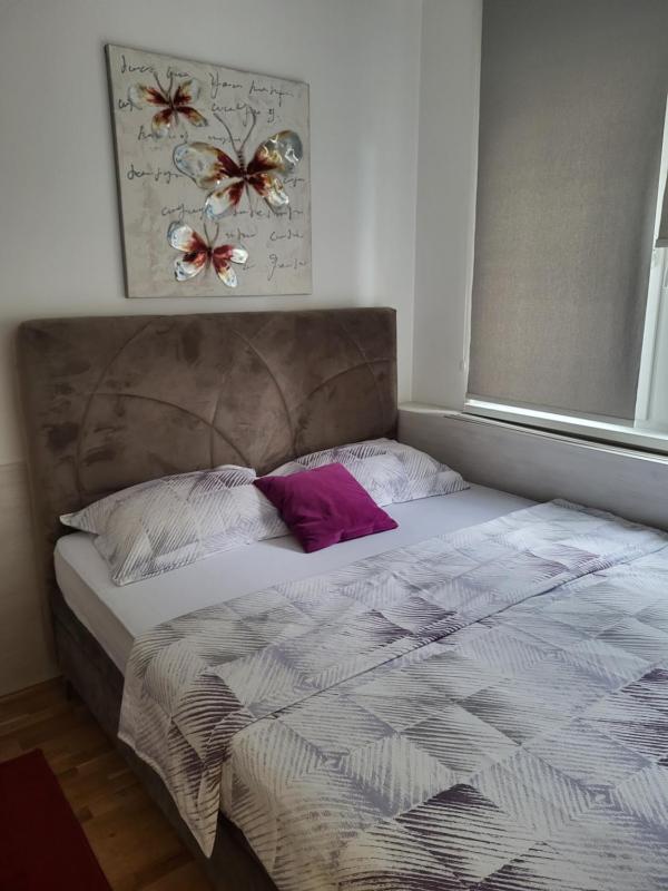 One-Bedroom Apartment image 2