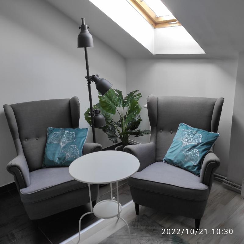 Deluxe Apartment image 1