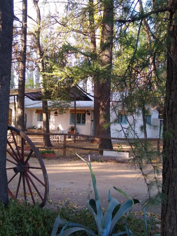 Chalet Los Troncos - image 15