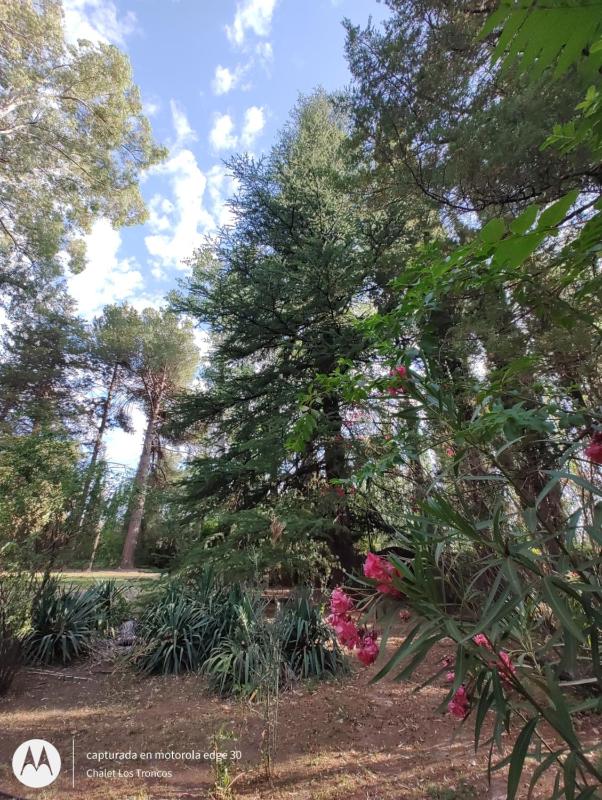 Chalet Los Troncos - image 23