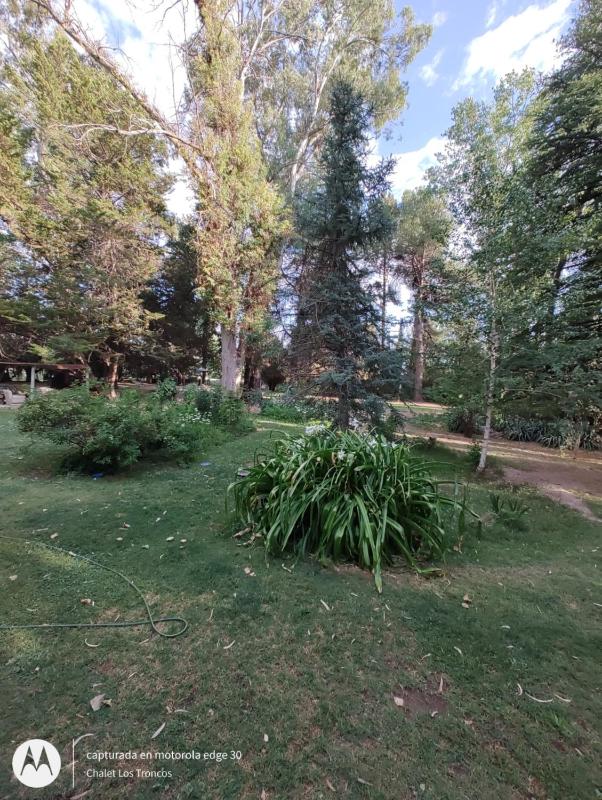Chalet Los Troncos - image 45