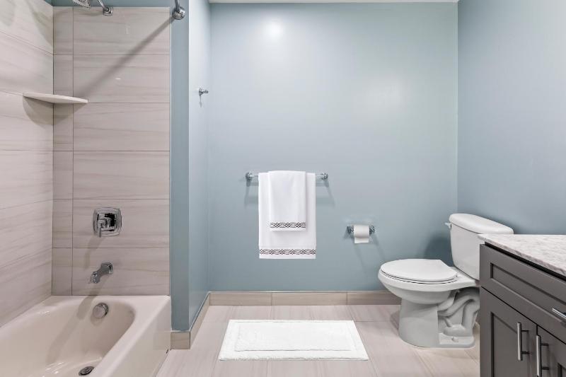 Deluxe King Suite image 2