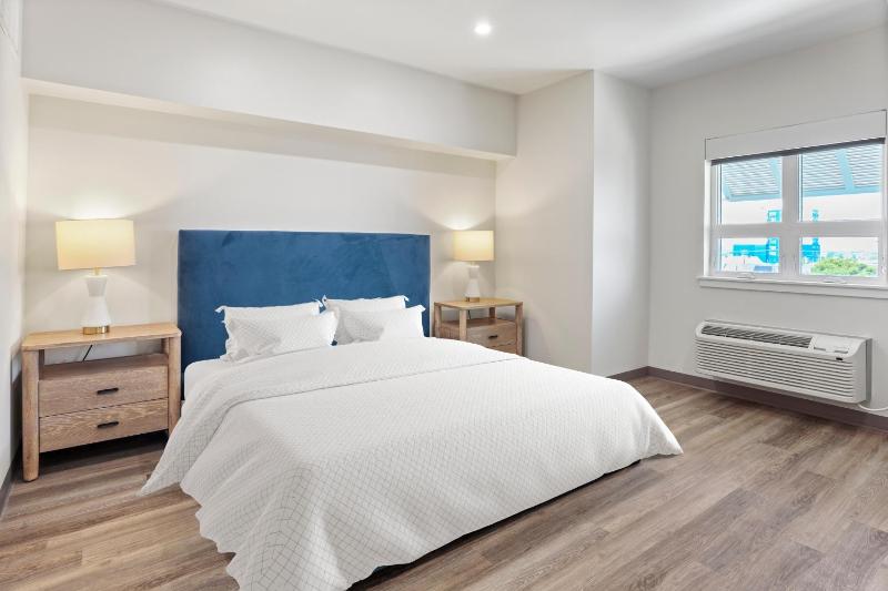 Deluxe King Suite image 3
