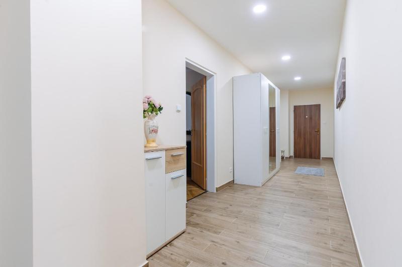 One-Bedroom Apartment image 4