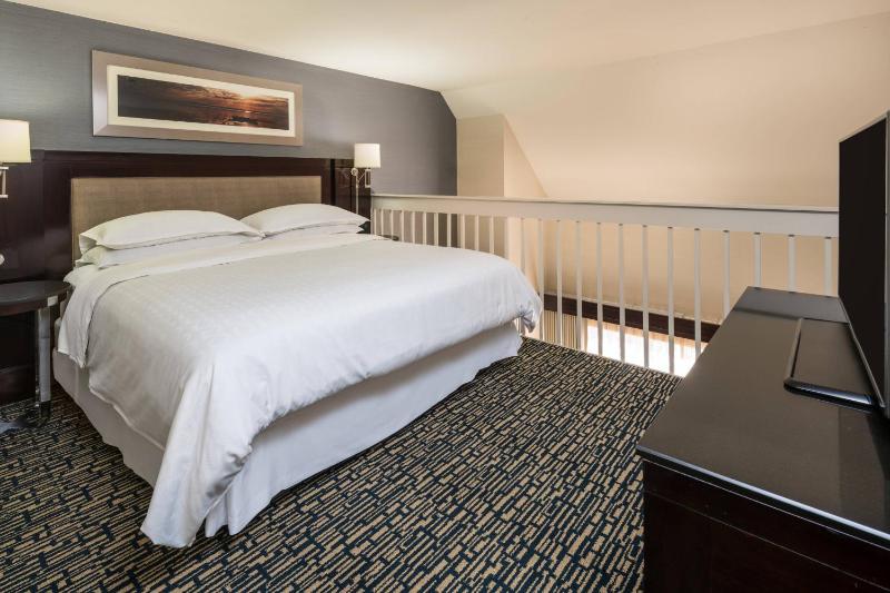 Larger Guest room, 1 King, Sofa bed, Courtyard view image 1