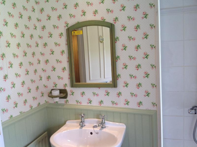 King Room with Private External Bathroom image 4